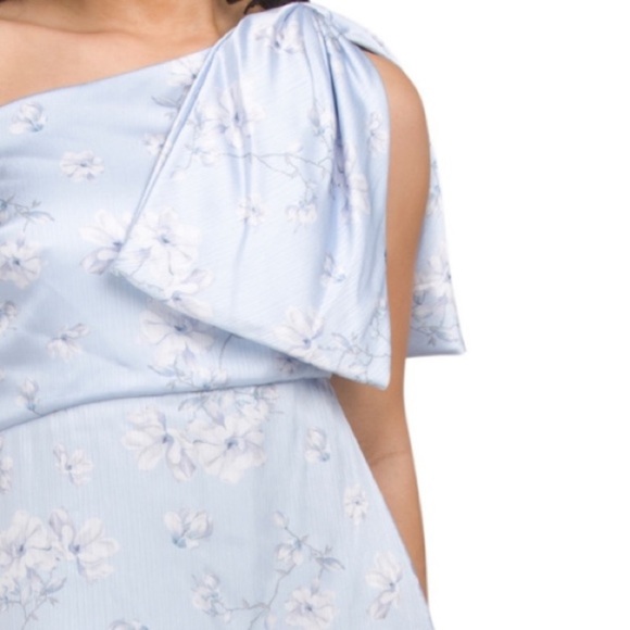 Sachin + Babi Chelsea Gown in Carolina Wildflowers Size 18W NWT New - Picture 10 of 10